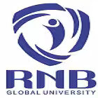 RNB Global University, Bikaner logo