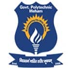 Government Polytechnic, Meham logo