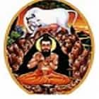 Sindagi Shantaveereshwar Ayurvedic Medical College-Hospital, Haveri logo