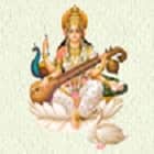 Veena Vadini College of Education, Bhopal logo